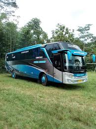 We did not find results for: Alamat Dan No Hp Bus Putra Sulung Jurusan Jakarta Belitang Oku Timur News