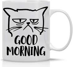 Check spelling or type a new query. Amazon Com Good Morning Funny Grumpy Cat Mug Cute Unique Cat Mom Gifts For Birthdays Present For Cat Lover Cup For Crazy Cat Ladies Great Office Mug Gag Gift 11oz Coffee