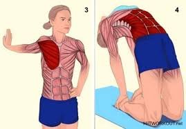 18 Pictures That Show You Exactly What Muscles You Are Stretching In 2020 Muscle Stretches Yoga Postures Pectoral Muscles