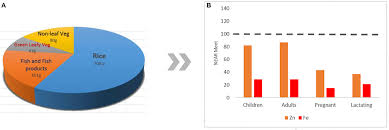 Maybe you would like to learn more about one of these? Frontiers Zinc And Iron Nutrition Status In The Philippines Population And Local Soils Nutrition