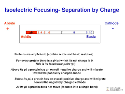 A) Schematic Diagram Of A 2-D Planar Channel Used To Simulate The... |  Download Scientific Diagram