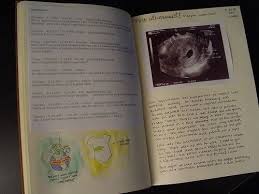 Pin On Pregnancy Journal Ideas