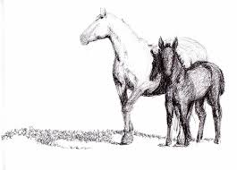 Watch video tutorials about professional drawing techniques every fine artist must know Hd Wallpaper Two Horses Illustration Drawing Pen Art Artwork Animal Mammal Wallpaper Flare