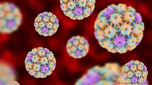 Hpv type — distribution in women with and human papillomavirus (hpv) infection in pregnant women and mother — to — child. Can Human Papillomavirus Cause Prostate Cancer Science In Depth Reporting On Science And Technology Dw 14 07 2020