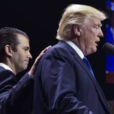 News, analysis and opinion from politico. Donald Trump S Donald Jr Problem The New Yorker