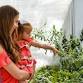 Mother's Day in the Garden