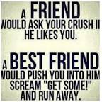 Image of funny best friend quotes