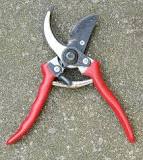 Pruning shears - Wikipedia