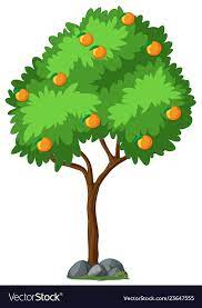Isolated Orange Tree On White Background Illustration Download A Free Preview Or High Quality Adobe Illustrator Ai Eps Pdf And Orange Tree Plant Clips Tree