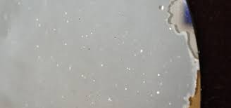 想像する生き物“人”が生み出す正体不明の仮想現実