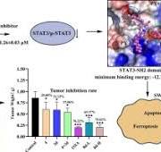 Discovery of a novel diphenyl piperidinone-naphthoquinone ...