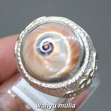 Maybe you would like to learn more about one of these? Batu Cincin Kol Buntet Fosil Keong Asli Kode 1471 Wahyu Mulia