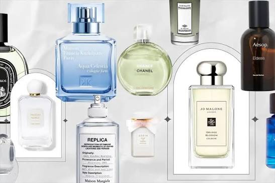 Top Nước Hoa Mùi Nhẹ Nhàng Cho Nữ Trong Năm 2024 - MC Perfume & Diamond: Công Ty Nhập Khẩu Và Cung Cấp Sỉ Nước Hoa Pháp Chính Hãng