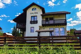 Pensiunea cris isi intampina turistii cu 15 spatii de cazare curate si spatioase, structurate astfel : Casa D Or Dorna Arini View Deal Guest Reviews