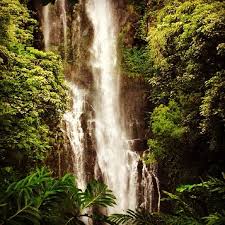 More images for hana hawaii waterfalls » Top 12 Best Waterfalls On Maui You Should Visit Hawaii Travel With Kids