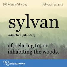 Sylvan Word Of The Day Dictionary Com Uncommon Words Unusual Words Words