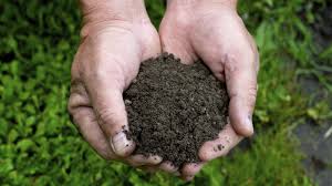 The chemical process by which atmospheric nitrogen is converted to nitrogenous compounds that can be taken up by plants. What Does That Soil Test Mean How Nutrients Affect Plants