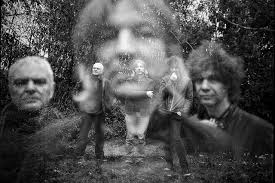 Franz Treichler, jeune dieu devenu vieux sage