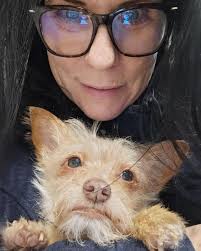 Laurel Fox (@laureljfox) • Instagram photos and videos