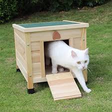 By sara kent, petfinder outreach team. Rockever Small Animal Houses Outdoor Wooden Rabbit Hutch Elevated With Door Feral Cat Shelter Diy Color Buy Online In Japan At Desertcart Jp Productid 145009606