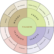 fragrance wheel perfumes from the floral and fresh families