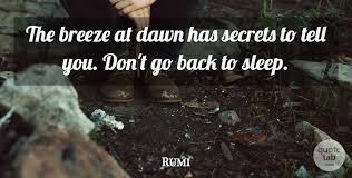 Don't go back to sleep. Rumi The Breeze At Dawn Has Secrets To Tell You Don T Go Back To Quotetab