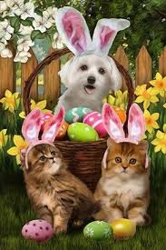 Easter Bunnies In Training By Tom Wood In 2020 Easter Bunny Vintage Easter Bunny