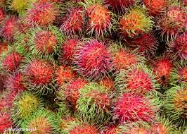 There are some fruits that can only be found in hi mark, i'm using your nasi lemak picture for my blog post entry, i hope you ok. Colorful Malaysian Fruits To Try Things To Do In Kuala Lumpur Inditales