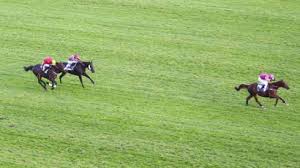 Au cours de la dernière décennie, quatre jockeys ont gagné le grand steeple dès leur première participation : 10 18 20 Auteuil Grand Steeple Chase De Paris Results And Reports