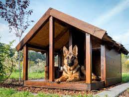 8 Diy Dog House Ideas For Crafty Dog Parents