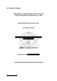 Provisions on the following matters are not included in sample. Bvi Company Search