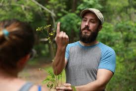 It can also be found in lawns, where it may be deliberately planted or come up as. Wild Plant Identification Foraging For Edible Weeds Countryside