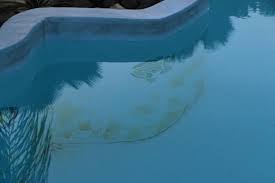 Depots De Feuilles Terre Sable En Fond De Piscine En Permanence Picture Of Caraibes Bonheur Deshaies Tripadvisor