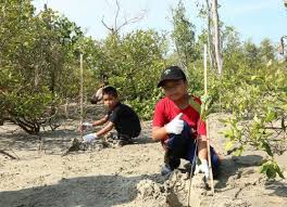 Set data ini memaparkan tentang maklumat fungsi hutan simpanan kekal (hsk) yang terdapat di negeri sembilan. Portal Rasmi Pdt Sepang Pelihara Hutan Simpan Kekal Stabilkan Alam Sekitar