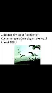 Gidersen Kim Sular Feslegenleri Kuslar Nereye Siginir Aksam Olunca Ahmet Telli Ozlu Sozler Edebiyat Siir