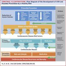Preventing Heart Disease | The Nutrition Source | Harvard T.h. Chan School  Of Public Health