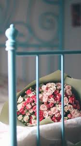 pin on زهور ملونه