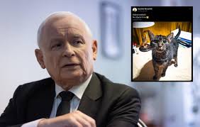 Jarosław Kaczyński pokazał zdjęcie swojego kota