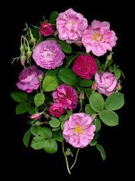 We did not find results for: How To Create A Fragrant Garden The New York Times