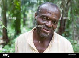 Elephant killed ivory hi-res stock photography and images