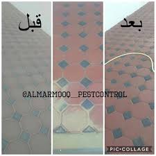 خيار النخبة جبت لكم حساب مميز Almarmooq Pestcontrol شركةالمرموق لتنظيف المباني والمنازل والبيوت مع التعقيم منتجاتهم وايد فعال Contemporary Rug Flooring Decor