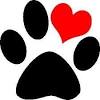 How you can easily tell your dog you love them? 1