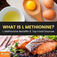 L Methionine Benefits Top Food Sources Dr Axe