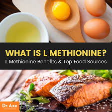 l methionine benefits top food sources dr axe