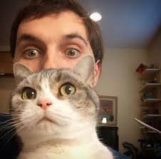 Hermitcraft Scar And Jellie Minecraft Creations Fan Art Drawing People