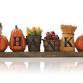 Beyond the Feast: Friendsgiving event image