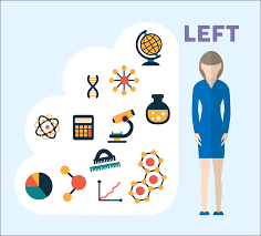 Left Brained Vs Right Brained Marketing Visual Learning