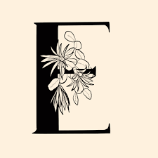 Some characters are accented versions of usual latin letters, some are from . The Beauty Of Letters Cara Ord Create