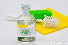 We are in no way affiliated with the government. 10 Kegunaan Cuka Putih Untuk Membersihkan Rumah Bukan Cuma Buat Masak Rumah123 Com