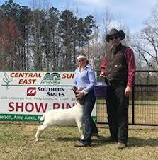 Bob May Livestock :: Winners